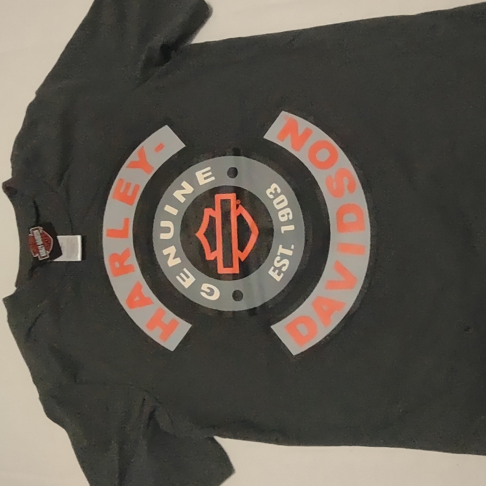 Harley-Davidson Gray T-Shirt with Logo